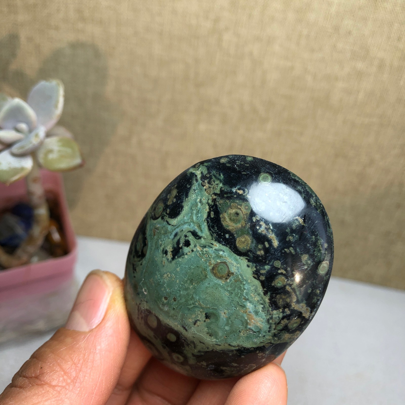 Top Natural Green Kambaba jasper quartz crystal Specimen healing 50g A2601