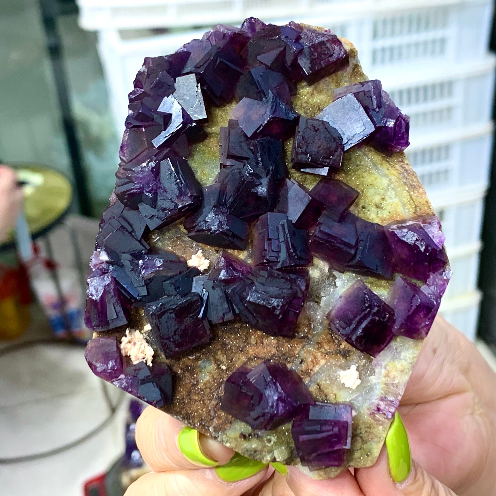 331G Rare Purple cubic fluorite mineral crystal sample/Zhejiang