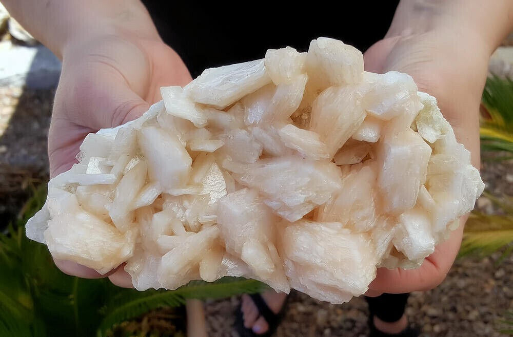 445g Big Spectacular 6 3/4 Inch World Class Stilbite Crystal Cluster – India
