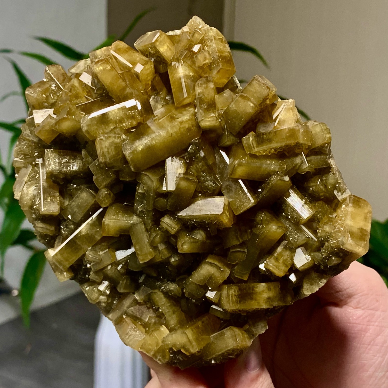 2.82LB Shiny Golden Cuboid Barite Crystal Based on the Purple Spherical Fluorite