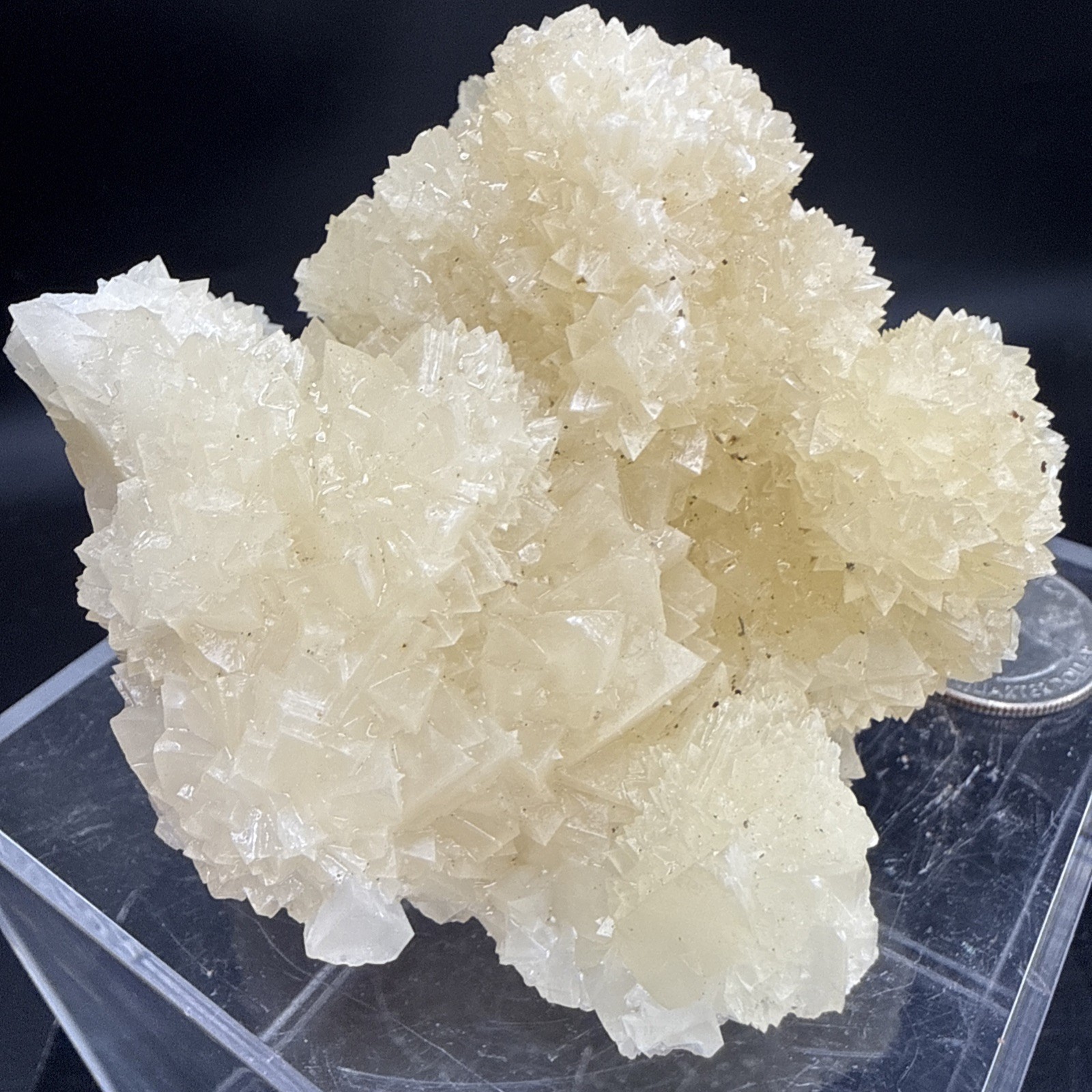 Natural Phosphorescent Honey Dogtooth Calcite Specimen!Amazing Formation! UV👀