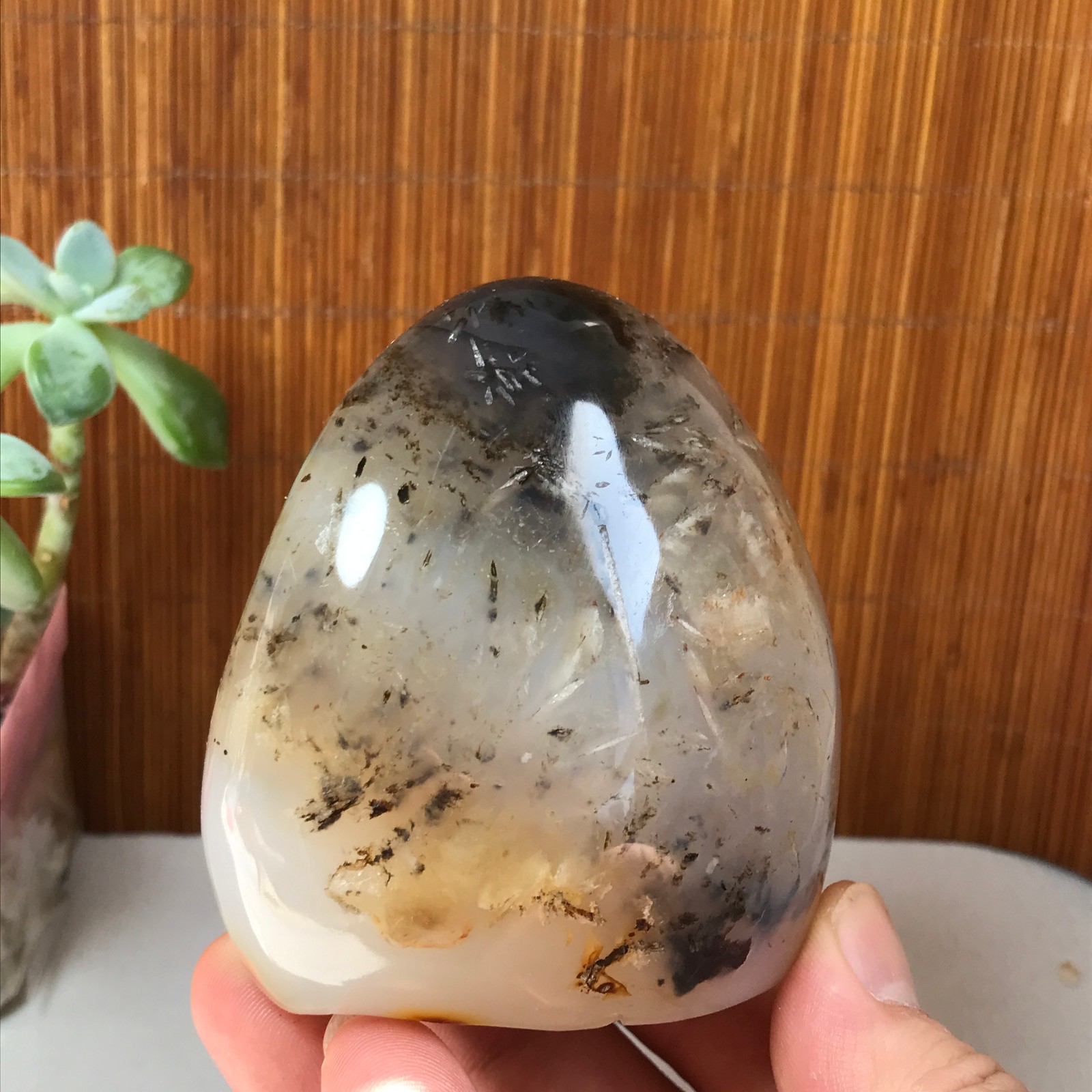 77-74-50mm Natural aquatic plants agate pretty Crystal specimens 433g A1877