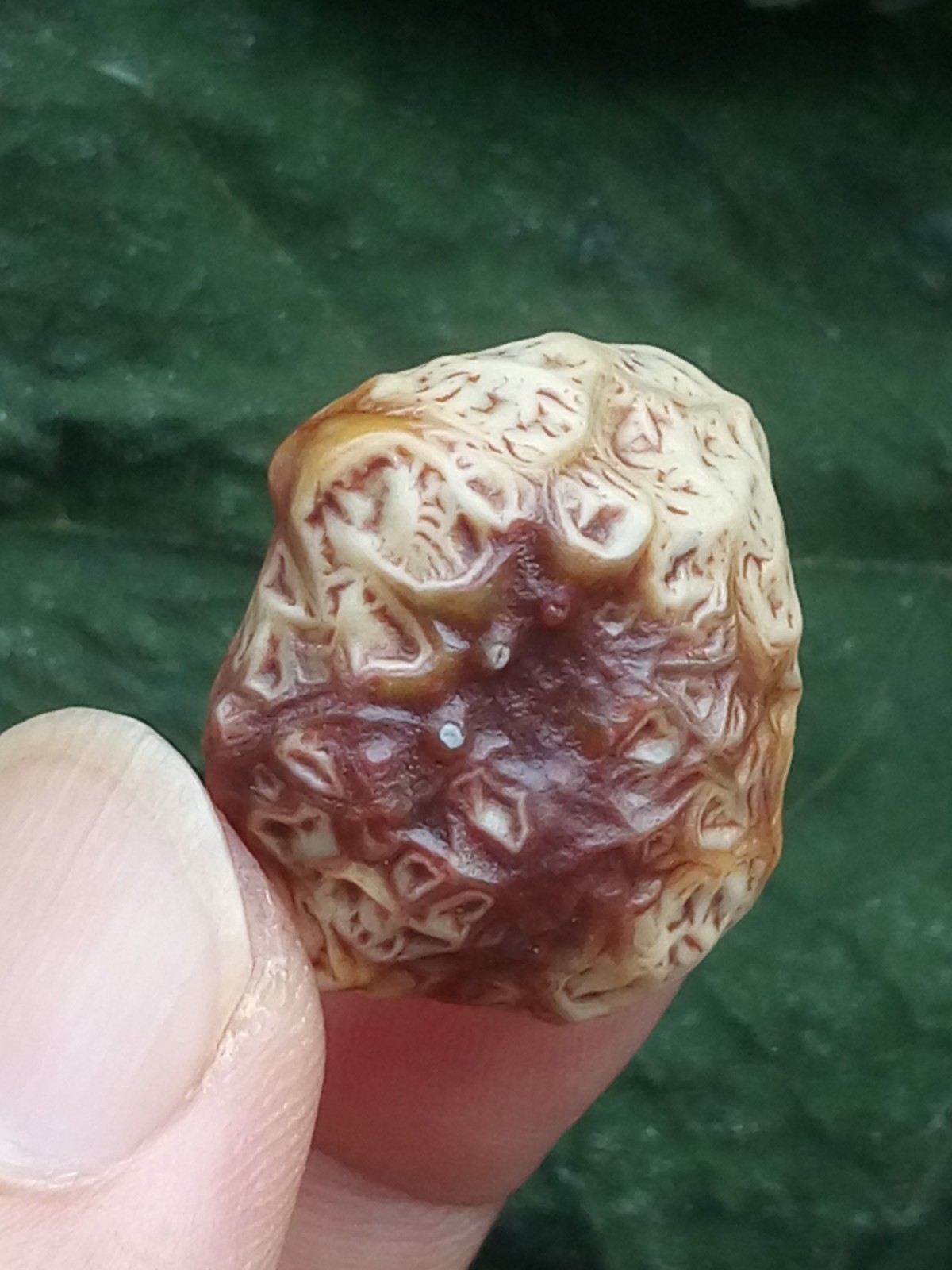 26mm Beautiful Natural GoBi agate veins agate collection