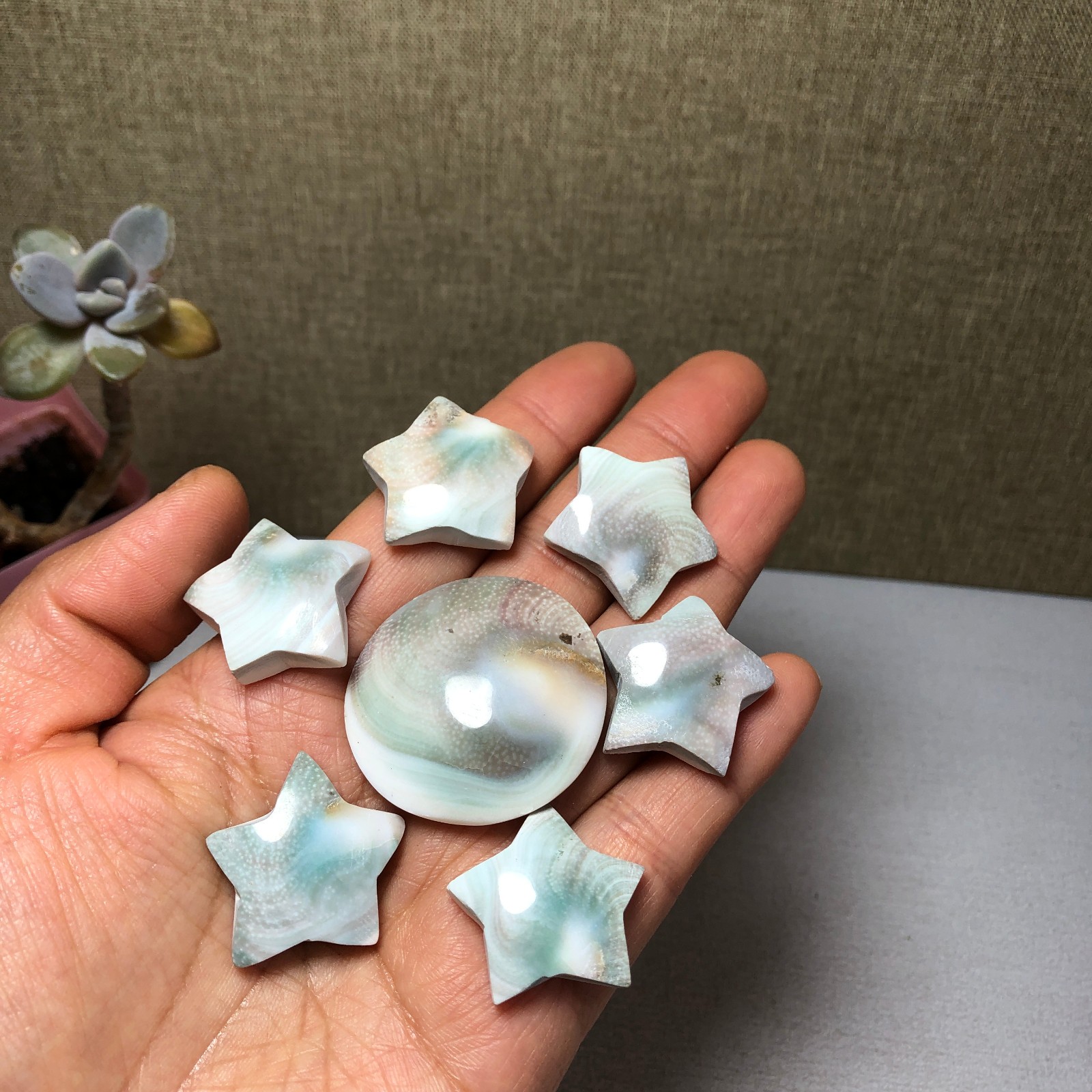 7pcs Rare sun shell Reiki Shiva Eye ocean semi-precious stone 57g A2762