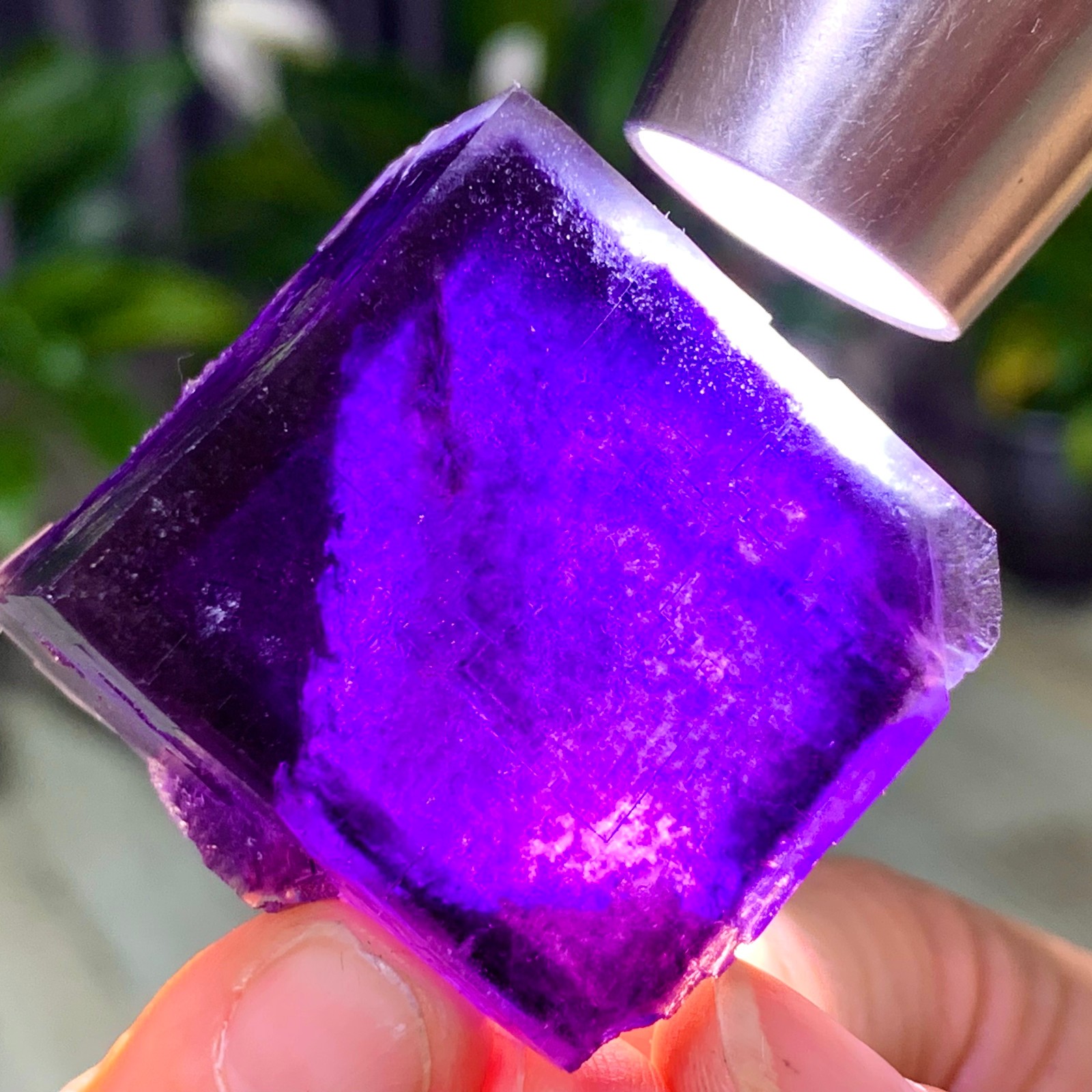 59G Inner Mongolia Natural Fluorite Purple Edged Cube Crystal Mineral Specimen