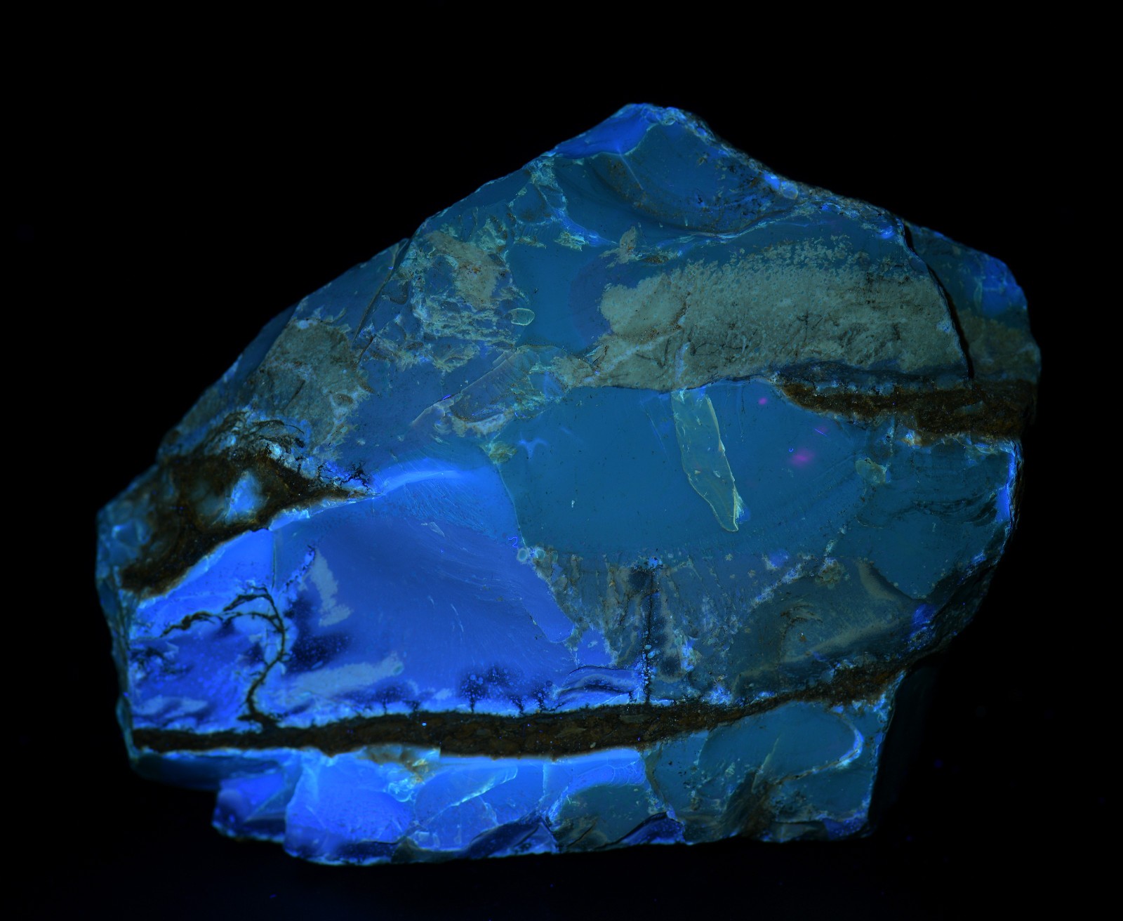 Amber, fluoresces blue. From Sumatra, Indonesia. 188 grams.