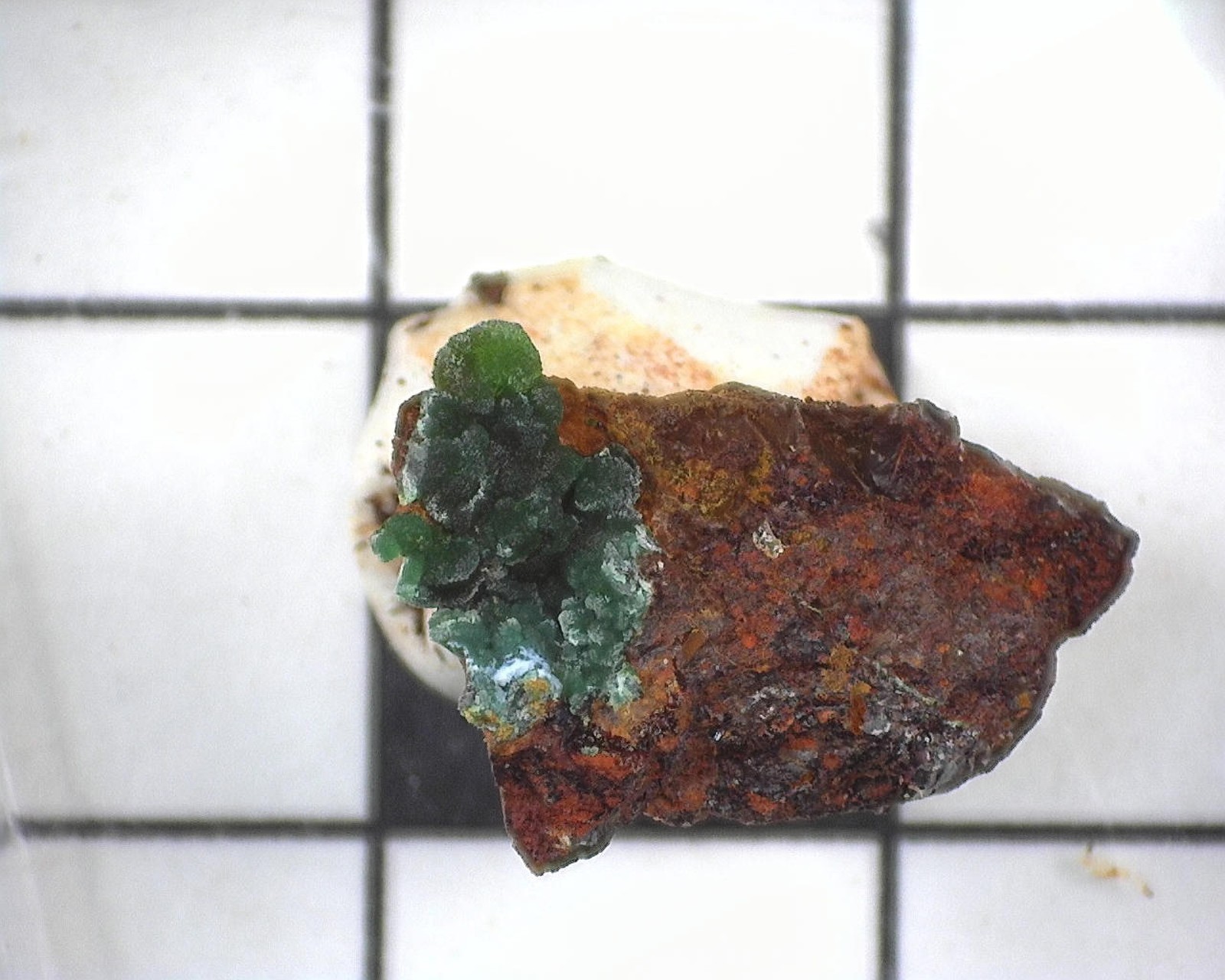 20401 MM Conichalcite Lavreotiki East Attica Attica Greece 14187