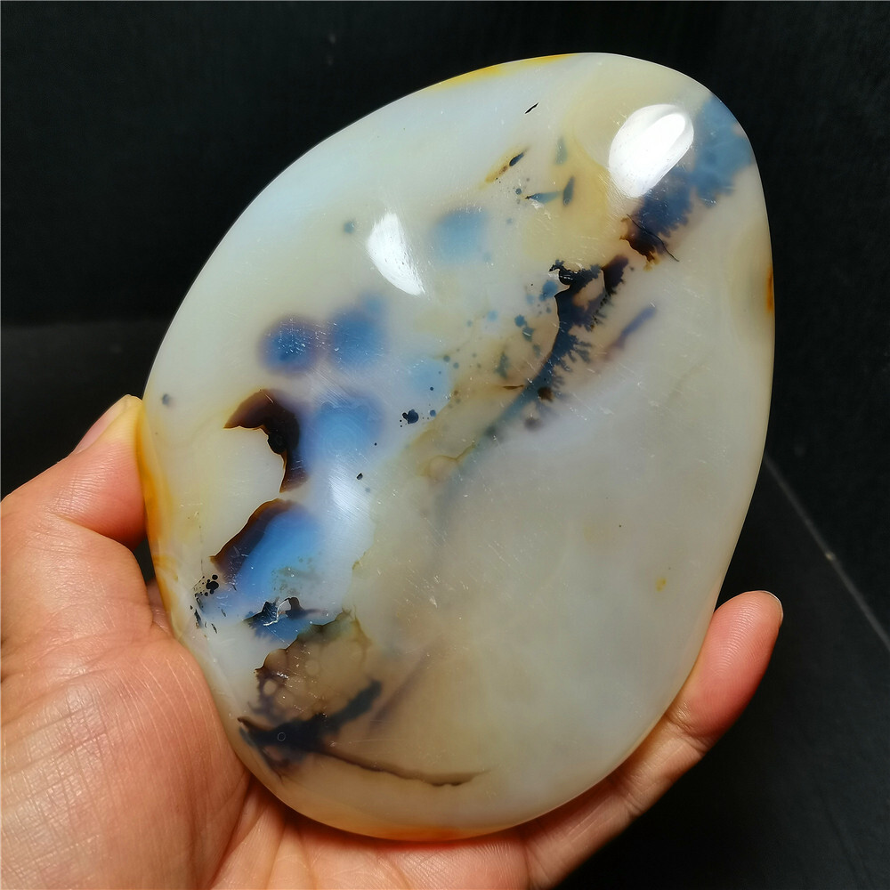TOP 384 G Natural Polished Aquatic Plants Agate Crystal Madagascar BY384
