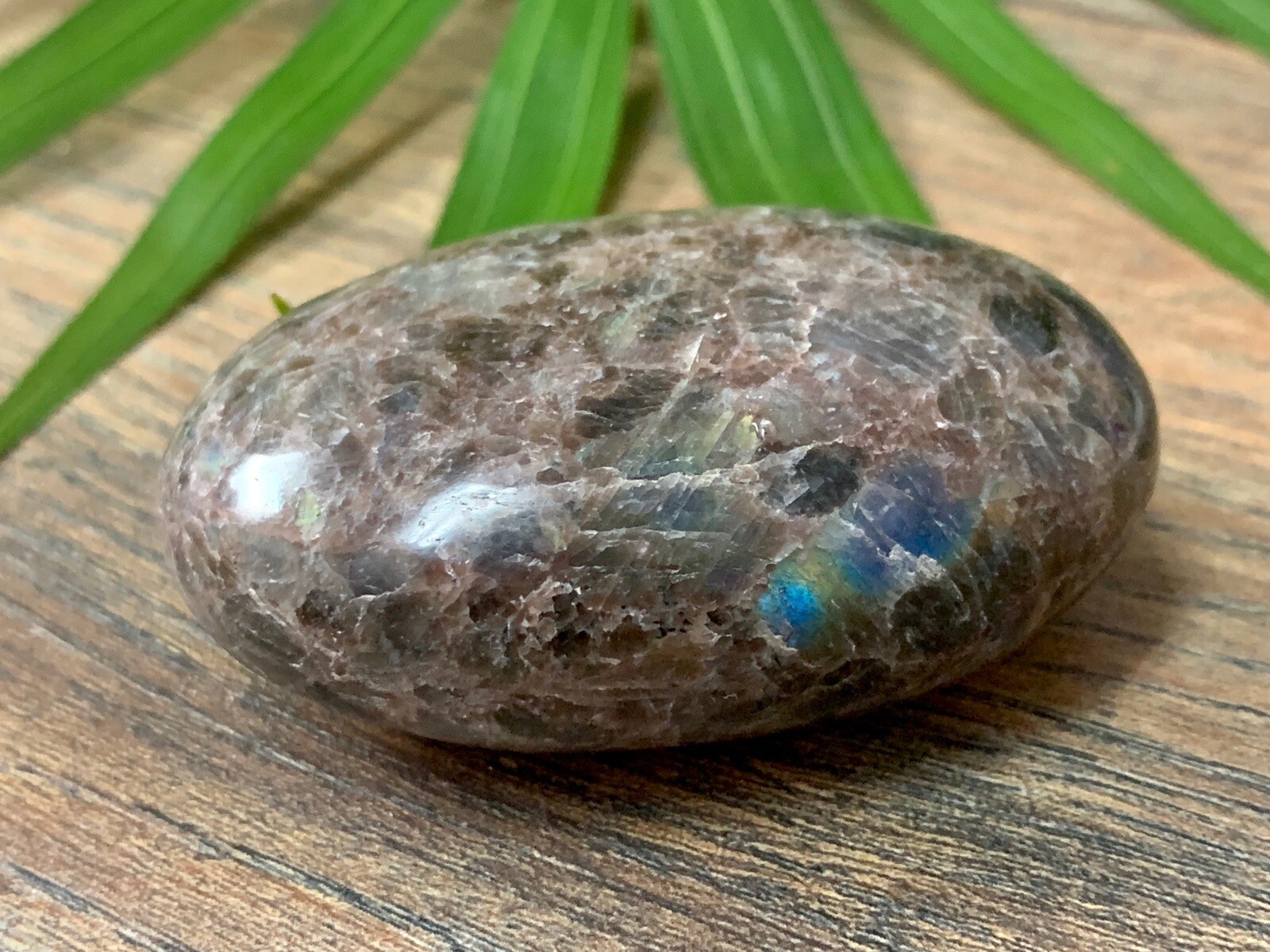 Galaxy Palm Stone Large Soap Stone Flat Therapy Meditation Specimen Reiki Cha