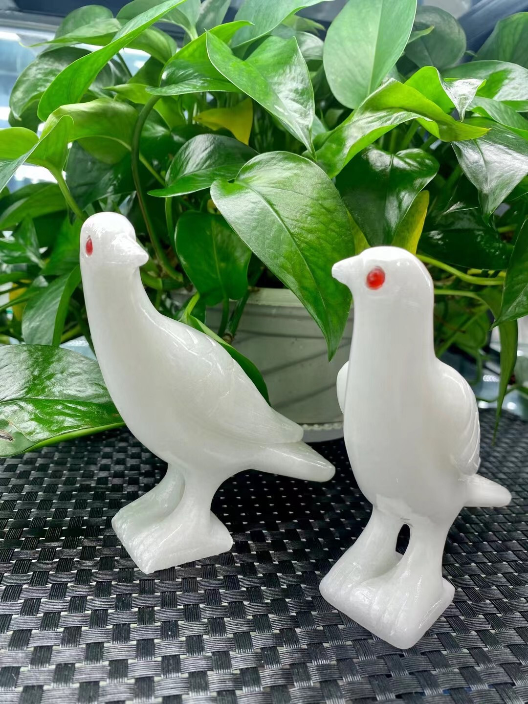 Natural White jade Quartz Crystal Carved Bird Skull Decor Healing random 1pc