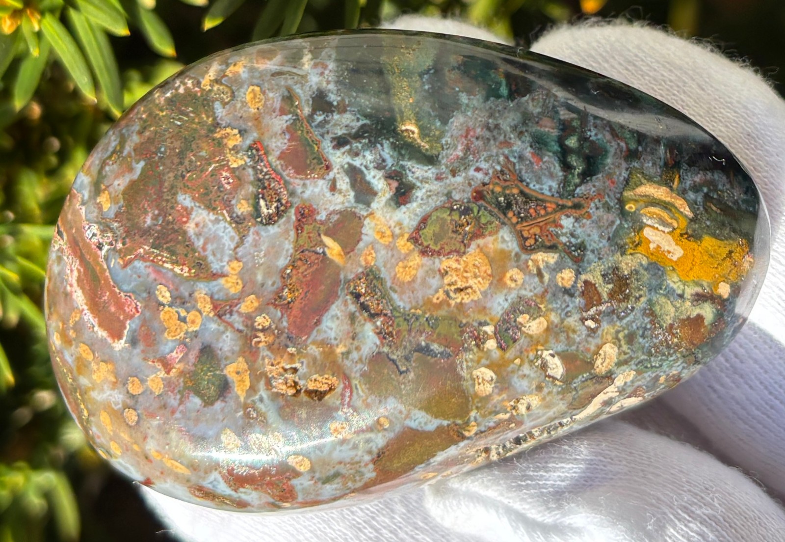 USA SALE 242g LOT OCEAN JASPER OJ PALMSTONES PALM STONES Palm Stone