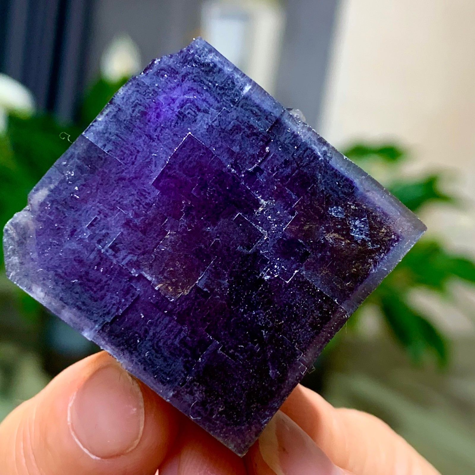 59G Inner Mongolia Natural Fluorite Purple Edged Cube Crystal Mineral Specimen