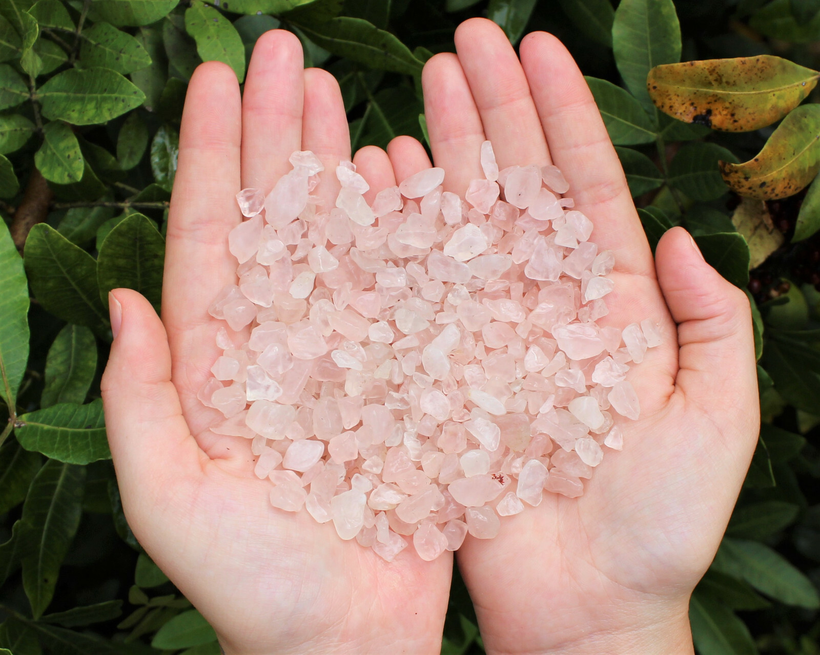 Rose Quartz Semi Tumbled Gemstone Mini Chips 6-8 mm, ‘A’ Grade Wholesale Lots