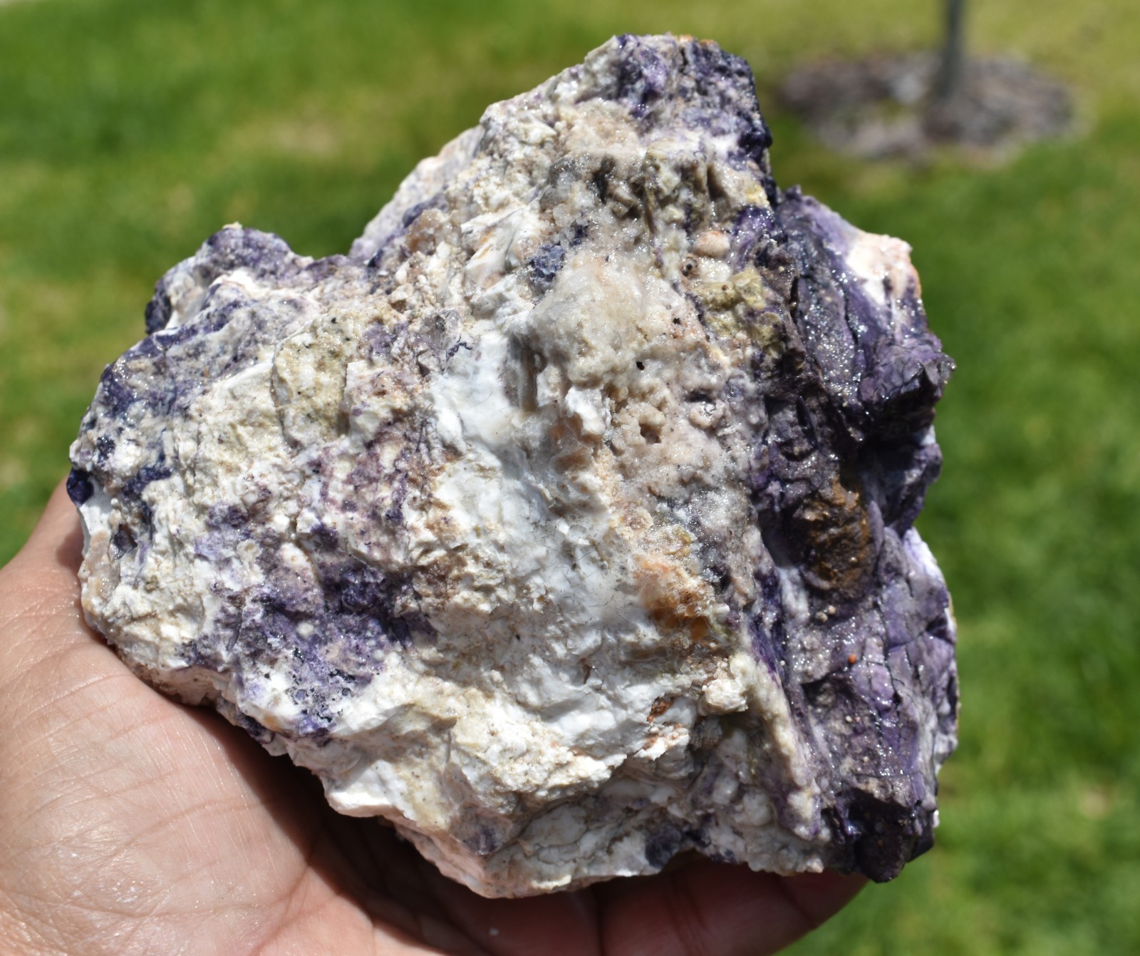 1.42 LB AAA OPALIZED TIFFANY STONE ROUGH, Bertrandite, FLUORITE (KLT)
