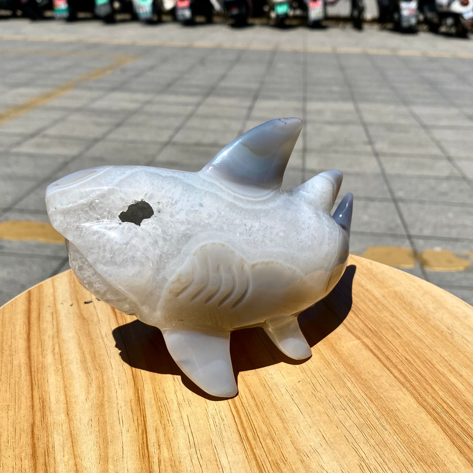 1.65LB Natural Agate Hand Carved Shark Figurine, Ocean Power Crystal Statue