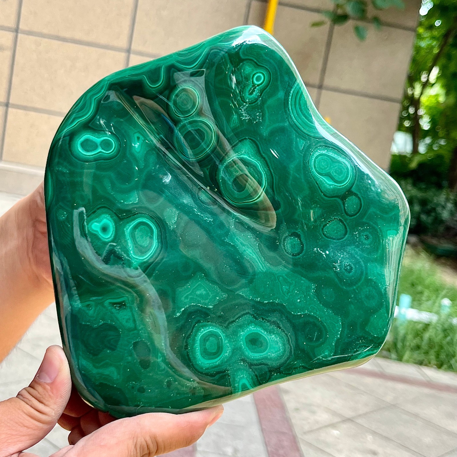3.9 lb Authentic Malachite Stone Half Polish Half Raw Natural Patterns