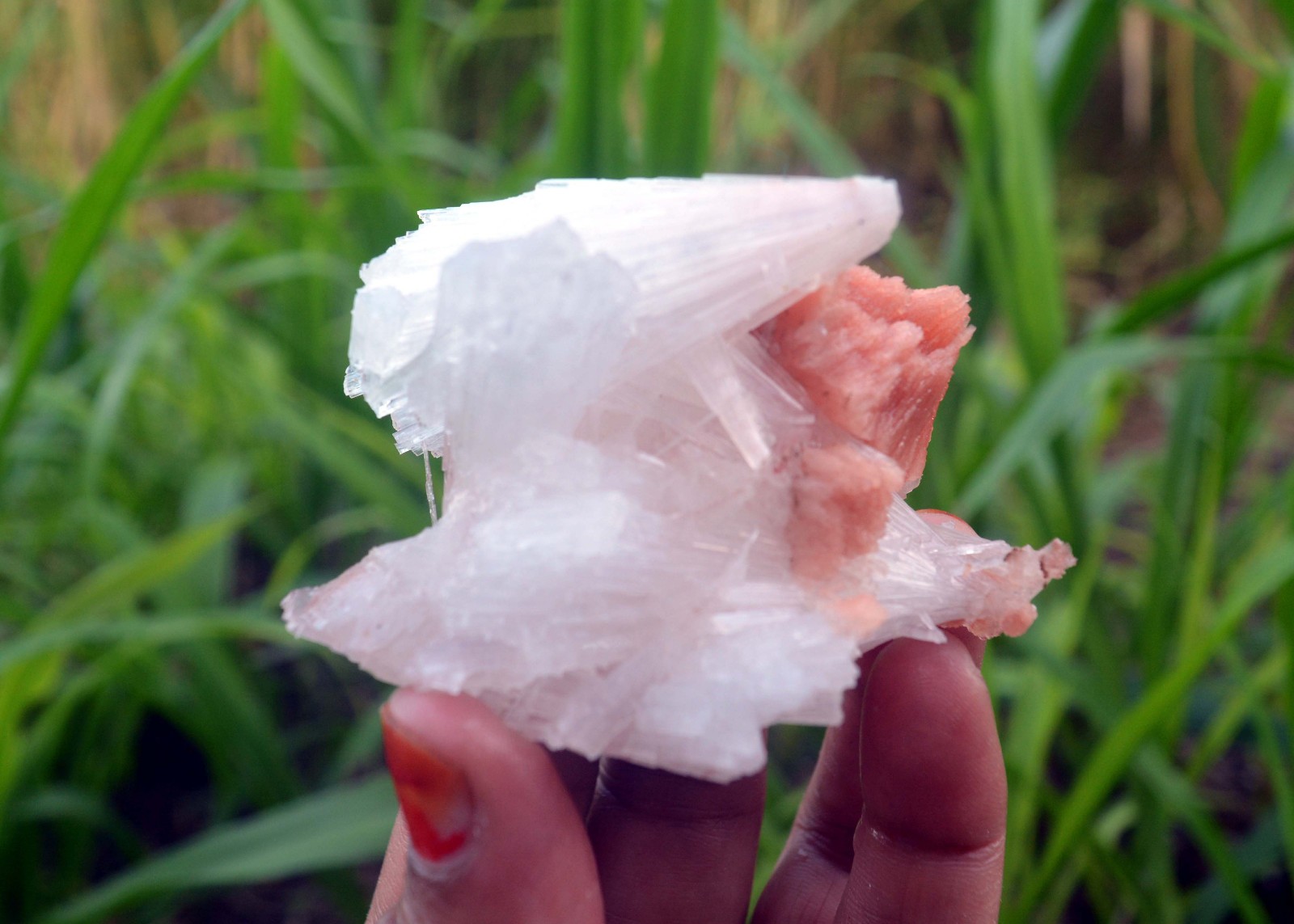 scolecite spray w/ stilbite minerals specimen j-7