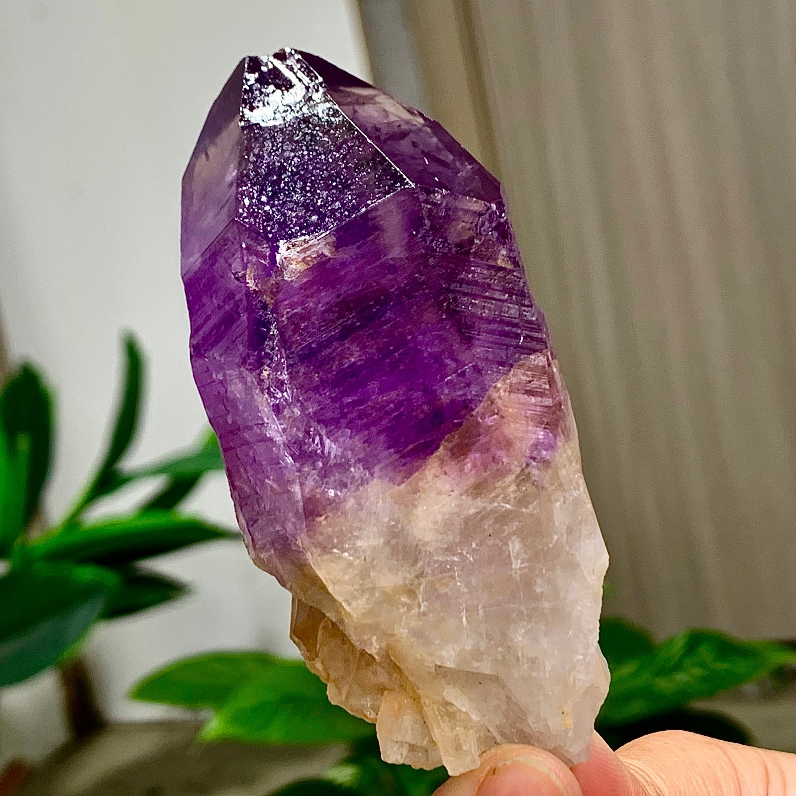 146G Natural Amethyst geode quartz cluster crystal specimen Healing
