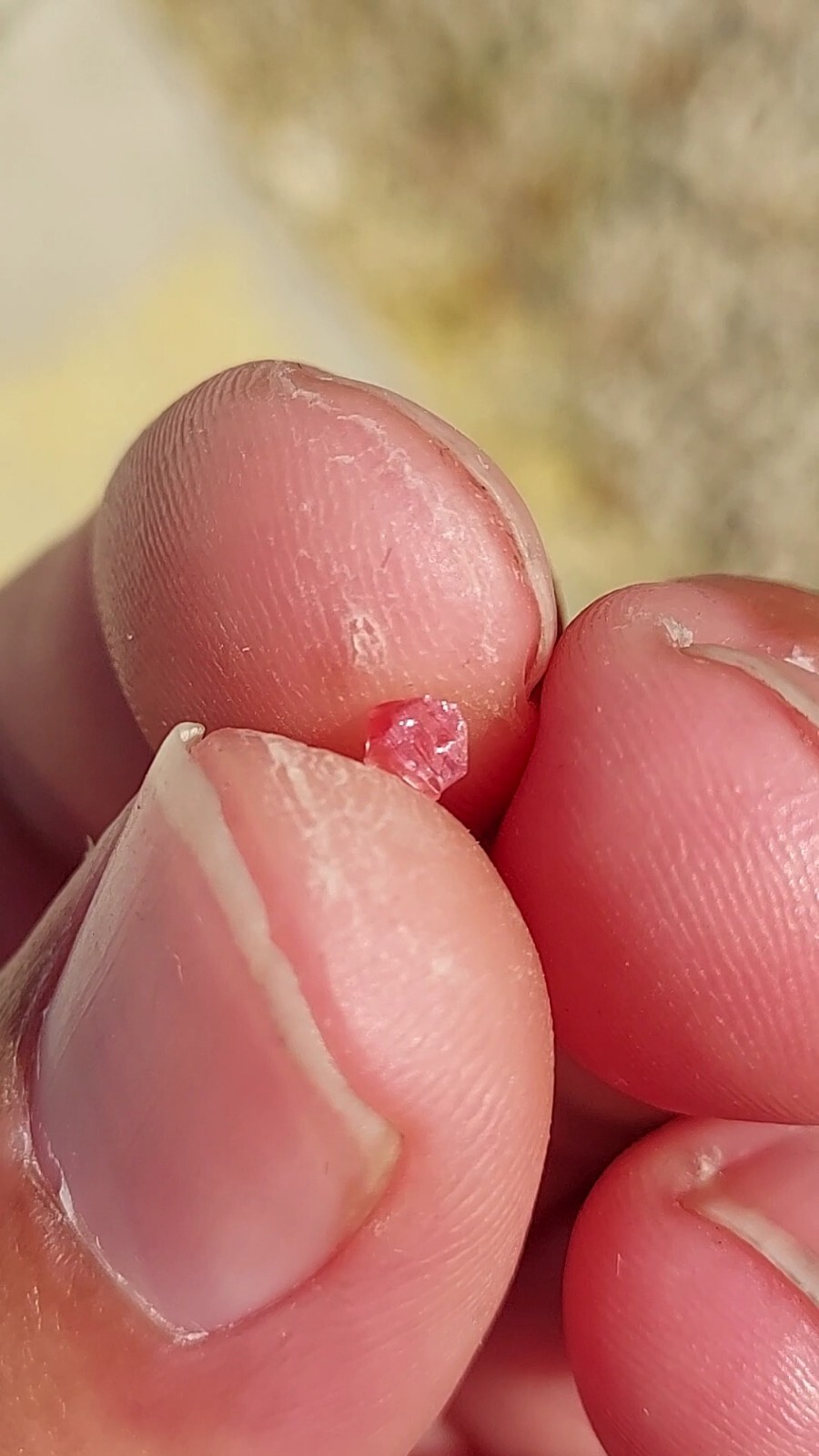 ULTRA GEM RHODOCHROSITE N’Chwaning II Mine, KMF, South Africa