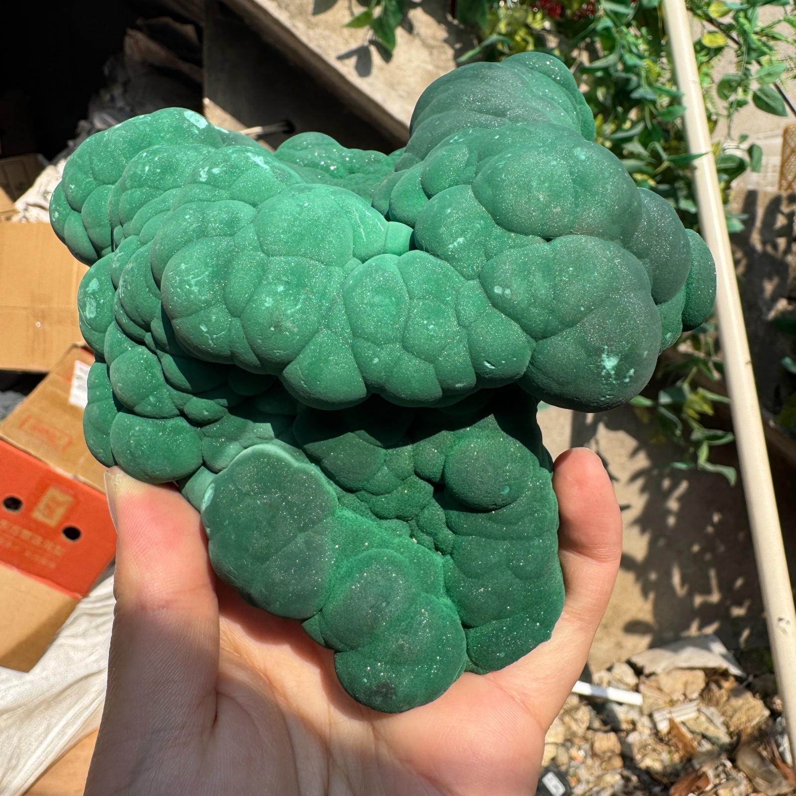 1180G Natural Malachite crystal quartz Mineral Specimen Reiki congo