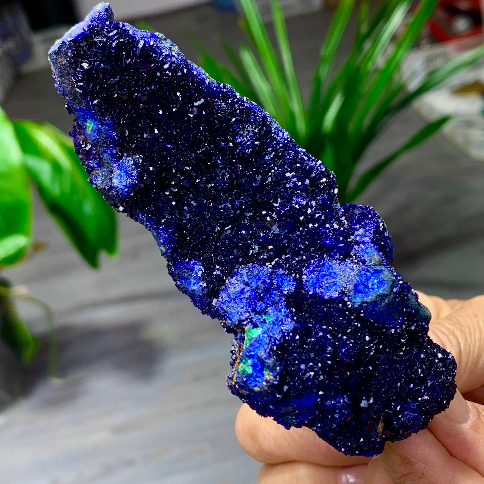 179G BEST Natural Azurite/Malachite crystal minerals specimens