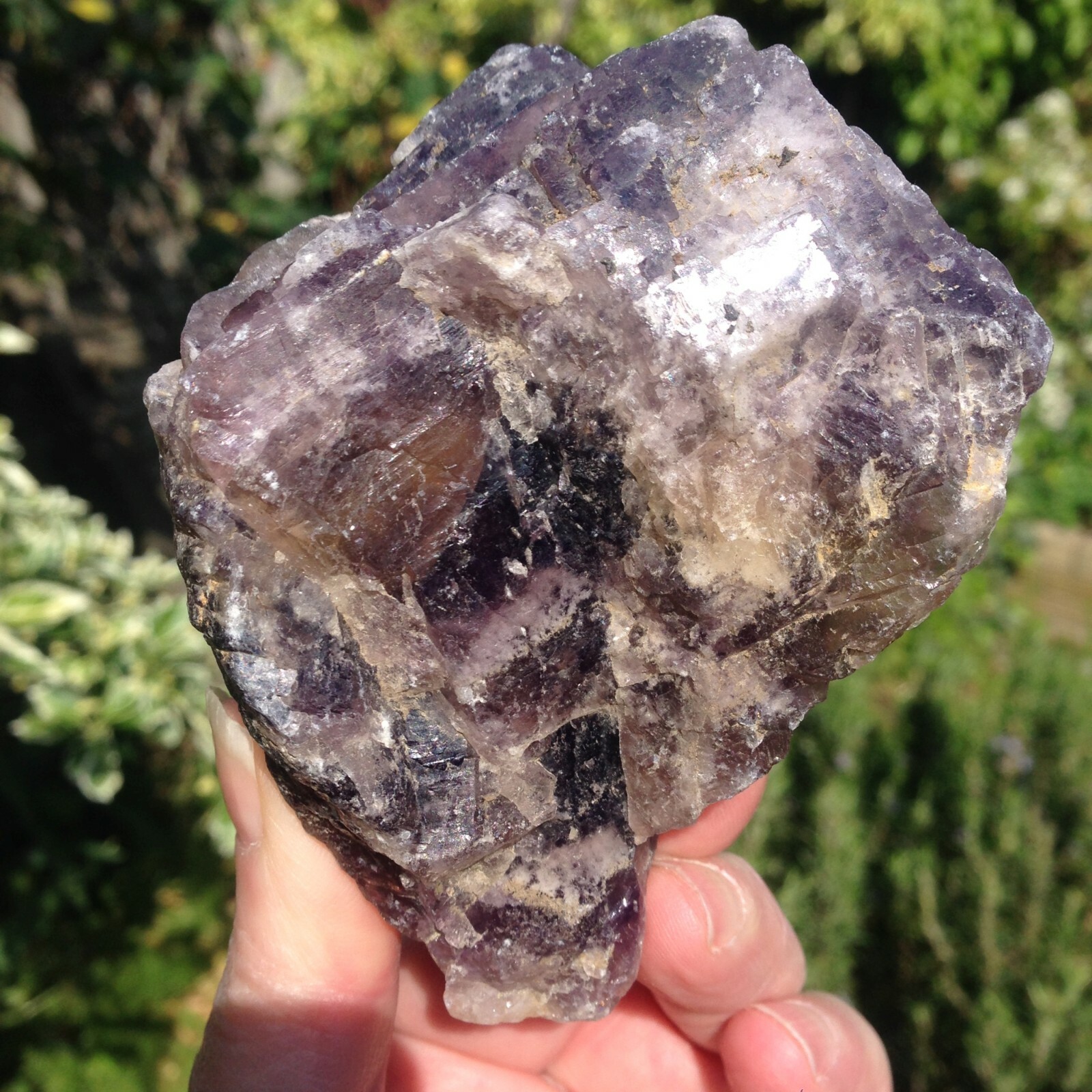 Fluorite Crystal Rough Specimen Purple Yellow North UK ex J Shaw 356g 9x7x6cm