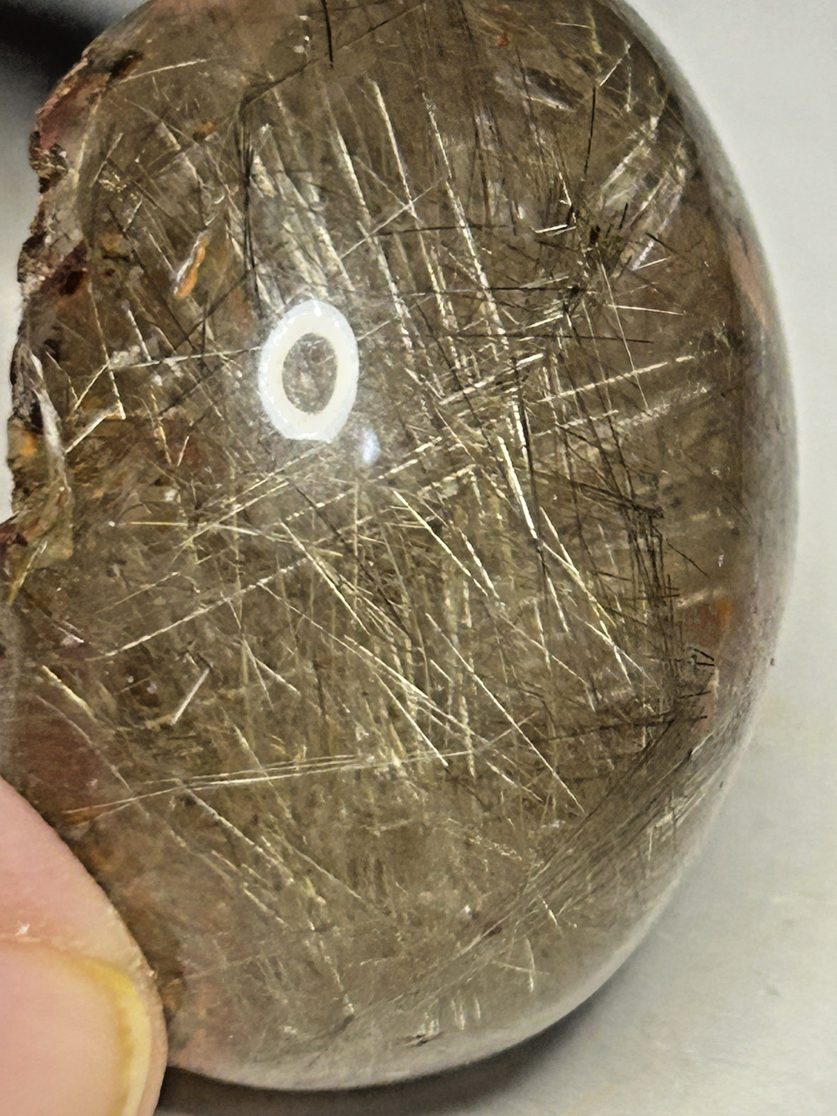 Clear Garden Quartz Lens With Gold Rutile Tree 48g/38.6mm x 30.8mm x 19.6mm