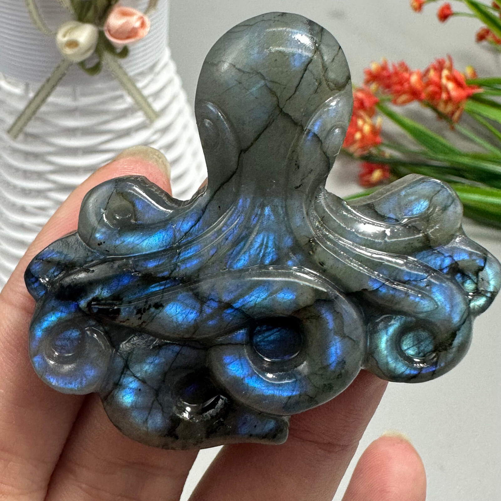 Natural Labradorite Carved OCTOPUS Quartz Skull Crystal Specimen Reiki Healing