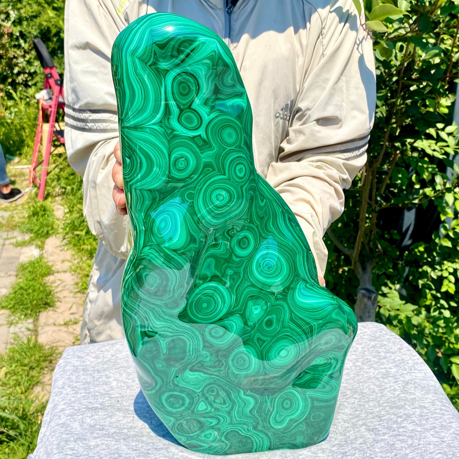 35.05LB Natural glossy Malachite transparent cluster rough mineral sample