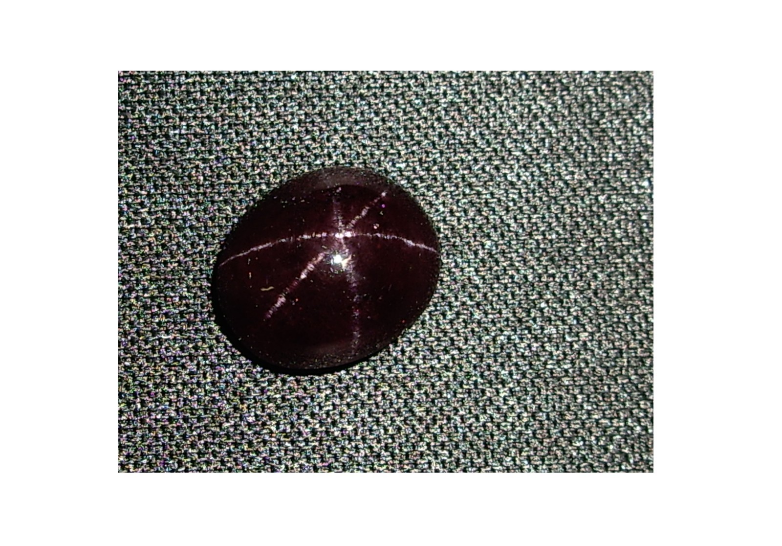 Star Garnet Cabochon, 7.4cts