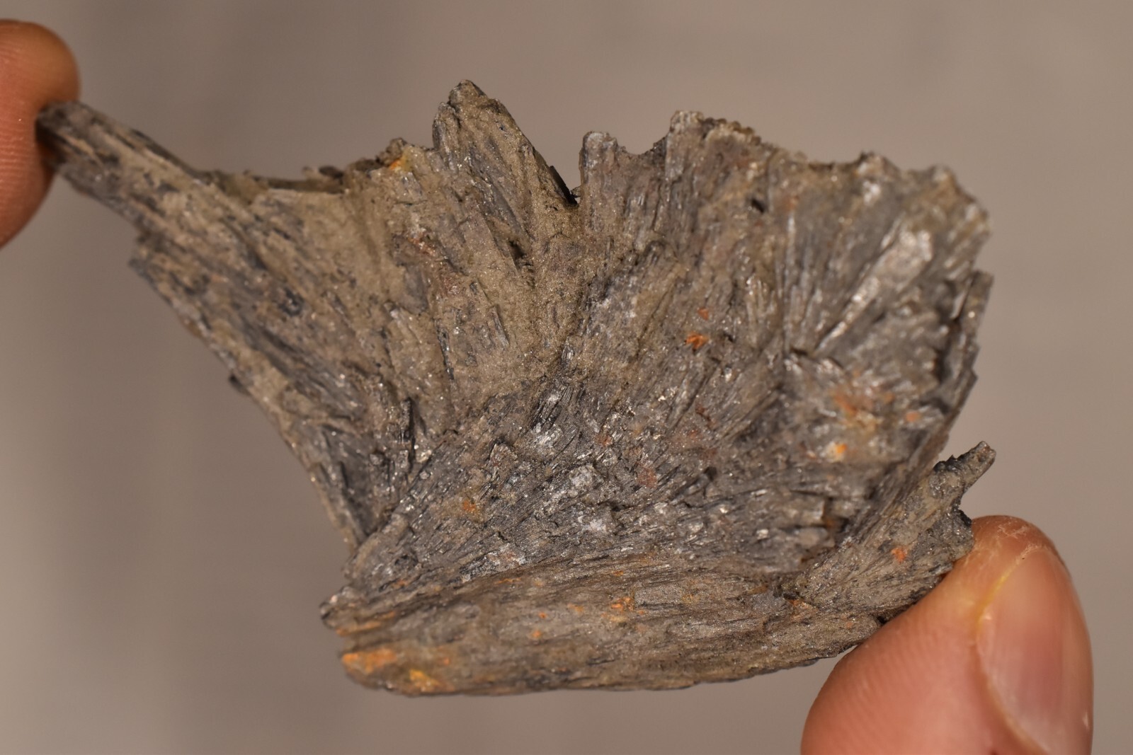 *BLACK KYANITE* CRYSTAL 6.8cm 24g Natural Specimen Healing Grounding Energizing