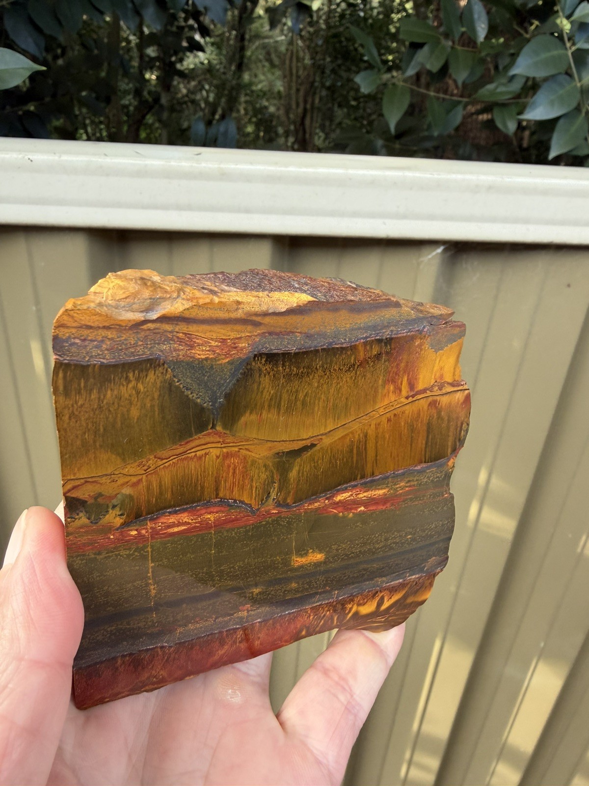 Aussie Tiger Eye – Mara Mamba W.A Polished back End Cut Slice 784g Nice