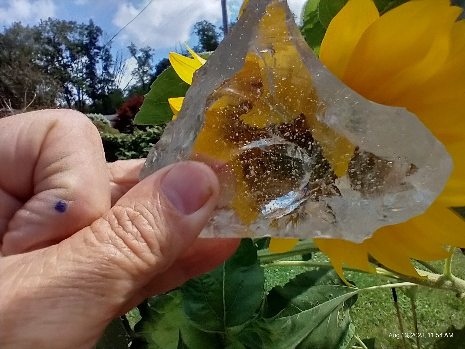Reiki Chakra High Vibration Abundance I am I am Andara Crystal 255 gram