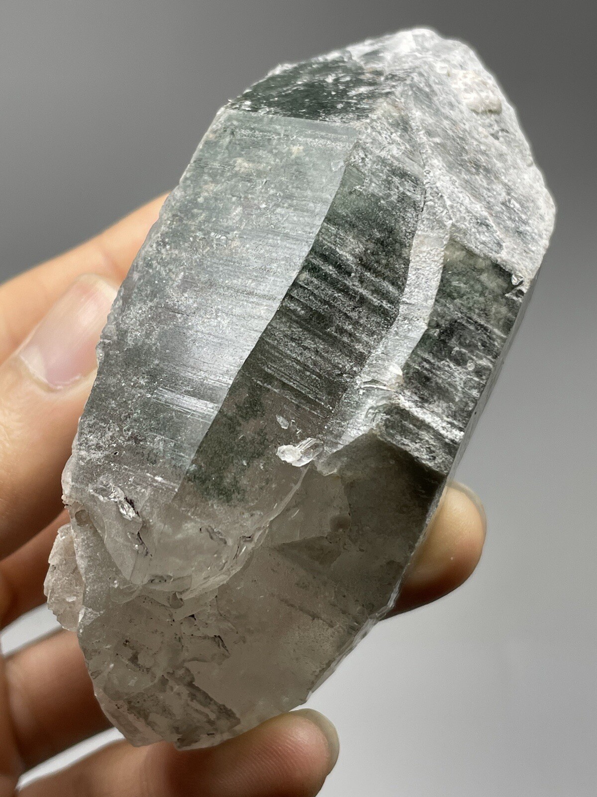 RARE 7.0oz DT Himalayan LEMURIAN Chlorite Quartz Cluster Samadhi Superb! L1
