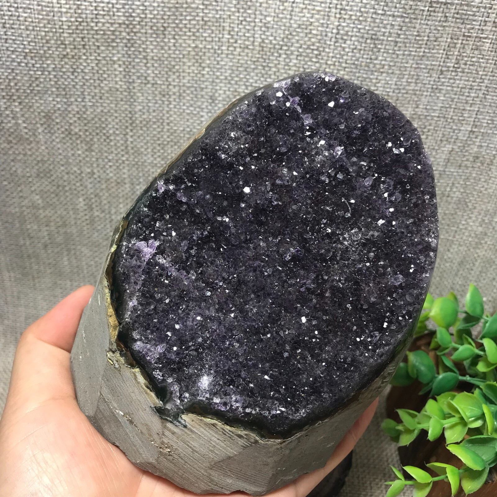 1281g Natural Amethyst Cluster Geodes Cut Base Quartz Crystal Healing 44