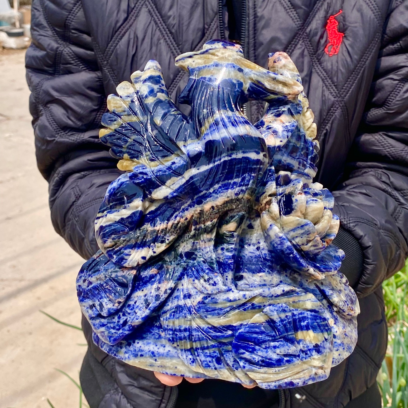 6.6LB Natural Blue Lace Agate Hand Carved Phoenix Figurine Gemstone Decor
