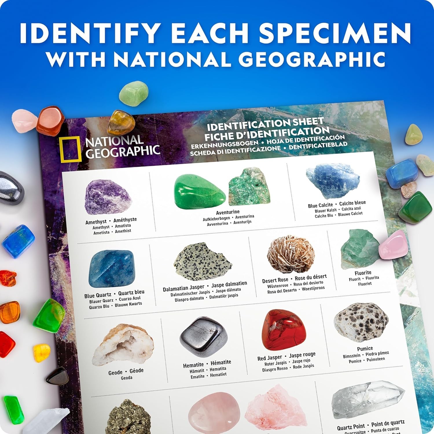 Geology Gift Set for Kids with Over 300 Rock, Mineral, and Crystal Specimens