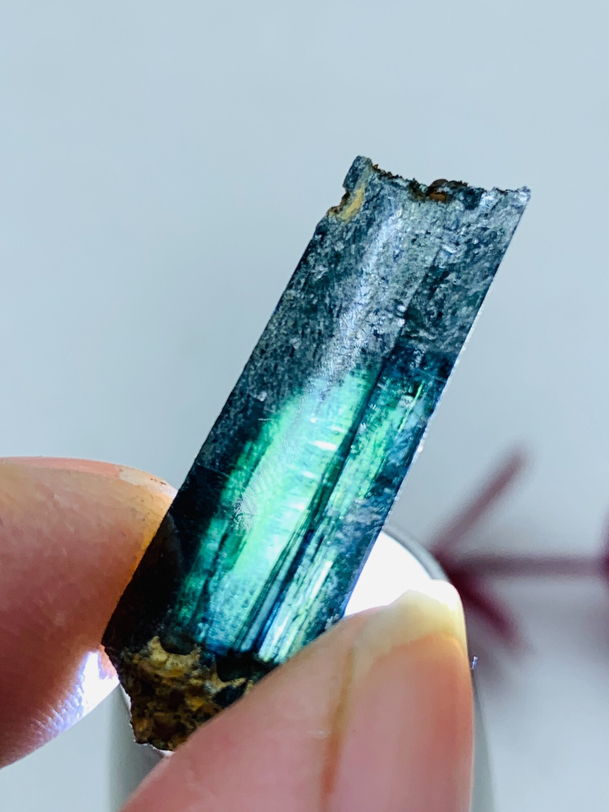 10ct 30mm TOP EXCELLENT BLUE GREEN VIVIANITE CRYSTALS Specimen FROM Brazil GEM