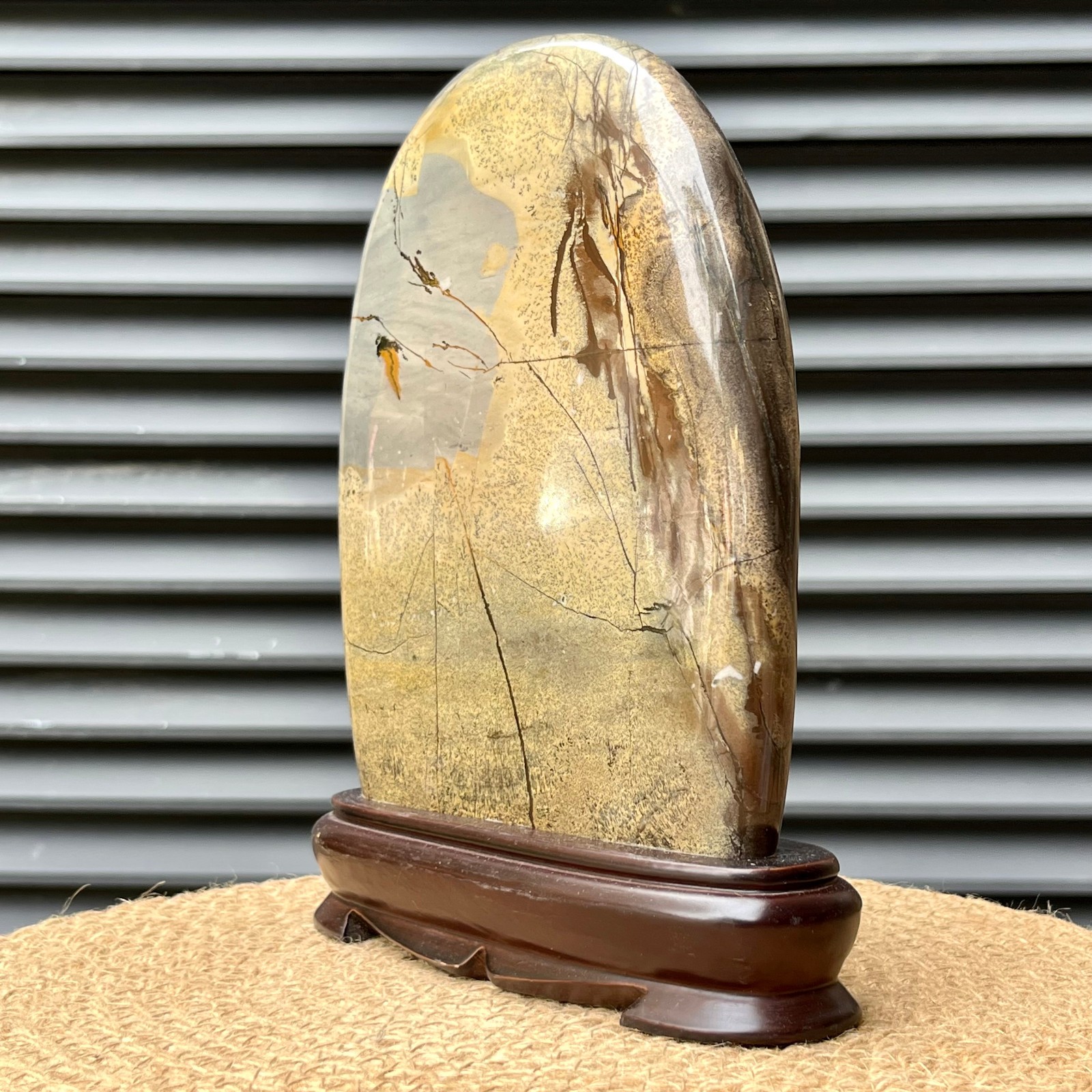 823 g Natural Pattern Stone Scenic Polished Display Art w/ Base