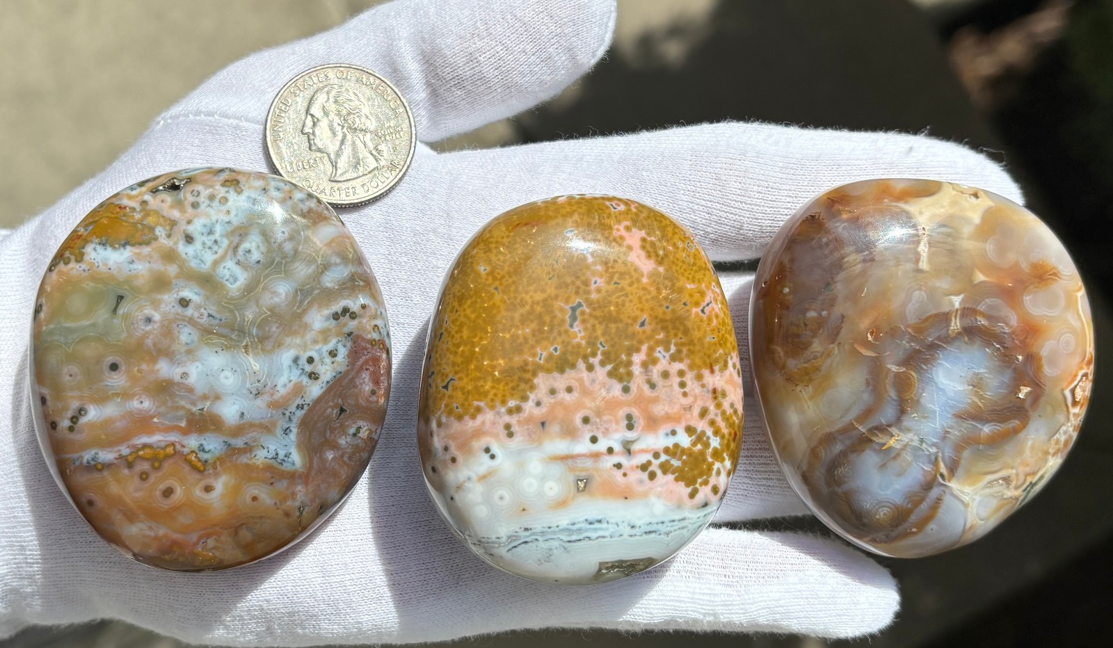US SALE 297g LOT 3 OCEAN JASPER with 8th VEIN 8 OJ PALM STONES PALM STONE STONES