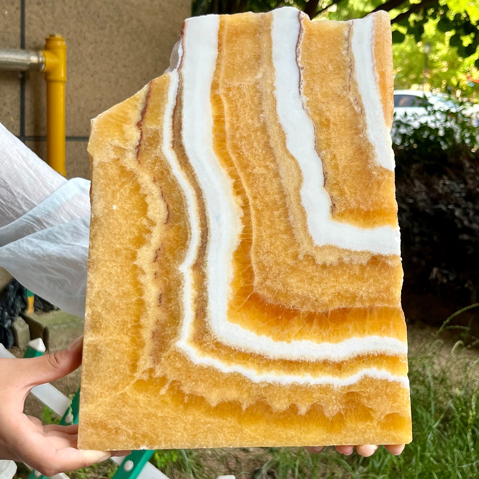 6.2 lb Authentic Yellow Calcite Polished Both Sides Crystal Slice Display