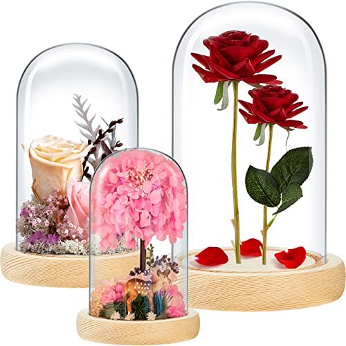 3 Pack Glass Cloche Dome Bell Jar Display Case w/ Base for Plants Fairy Lights