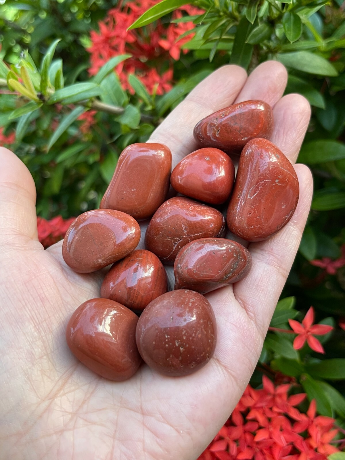 Grade A++ Red Jasper Tumbled Stones, 0.8″-1.25″ Tumbled Red Jasper,Pick How Many