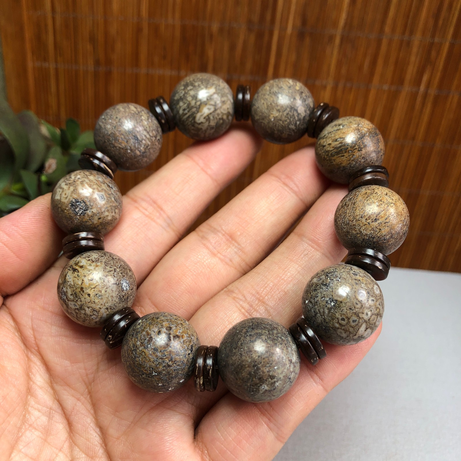 17+mm Natural dinosaur bone gemstone Crystal chain bracelet Specimen 87g A1077