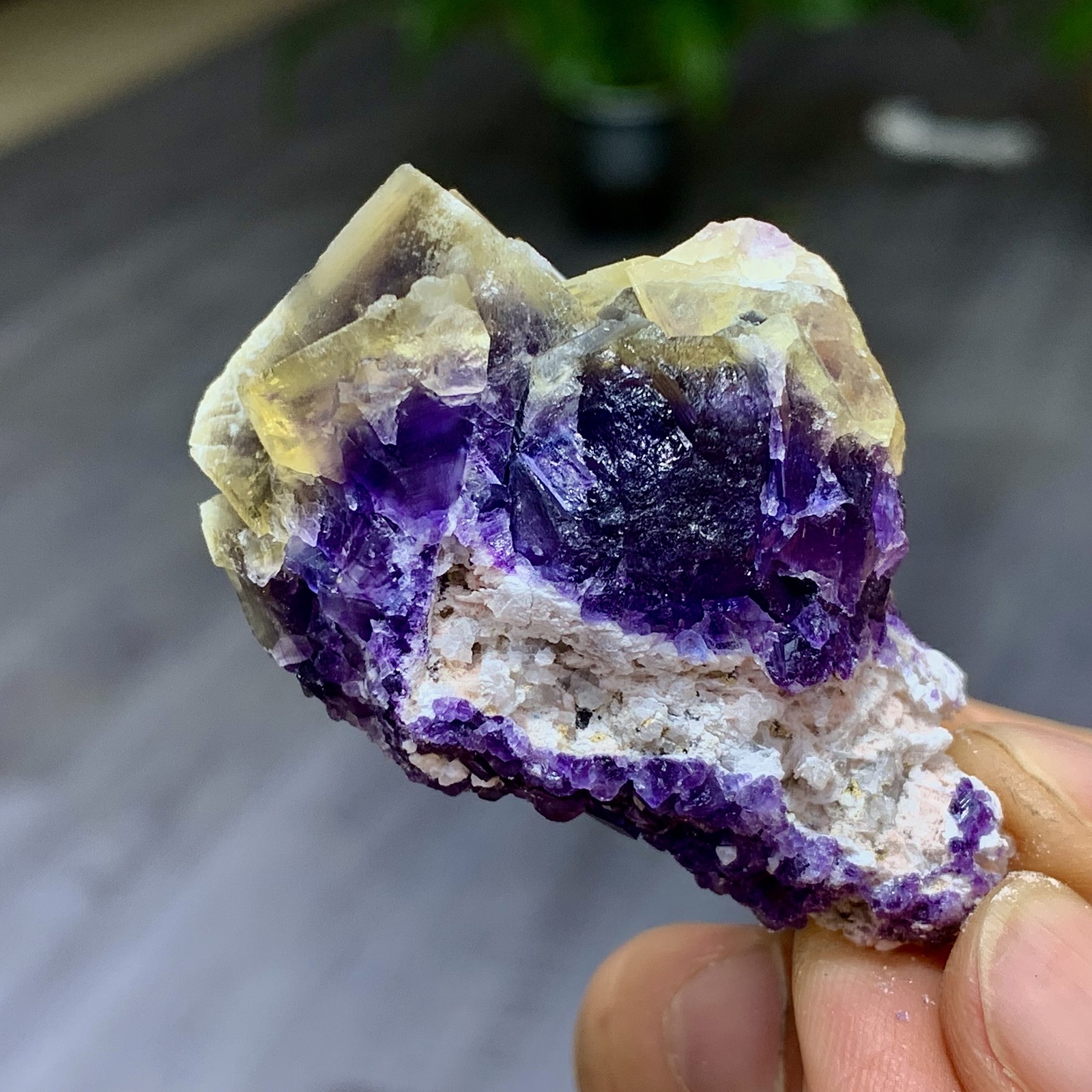 48G Rare transparent purple cubic fluorite mineral crystal sample/China