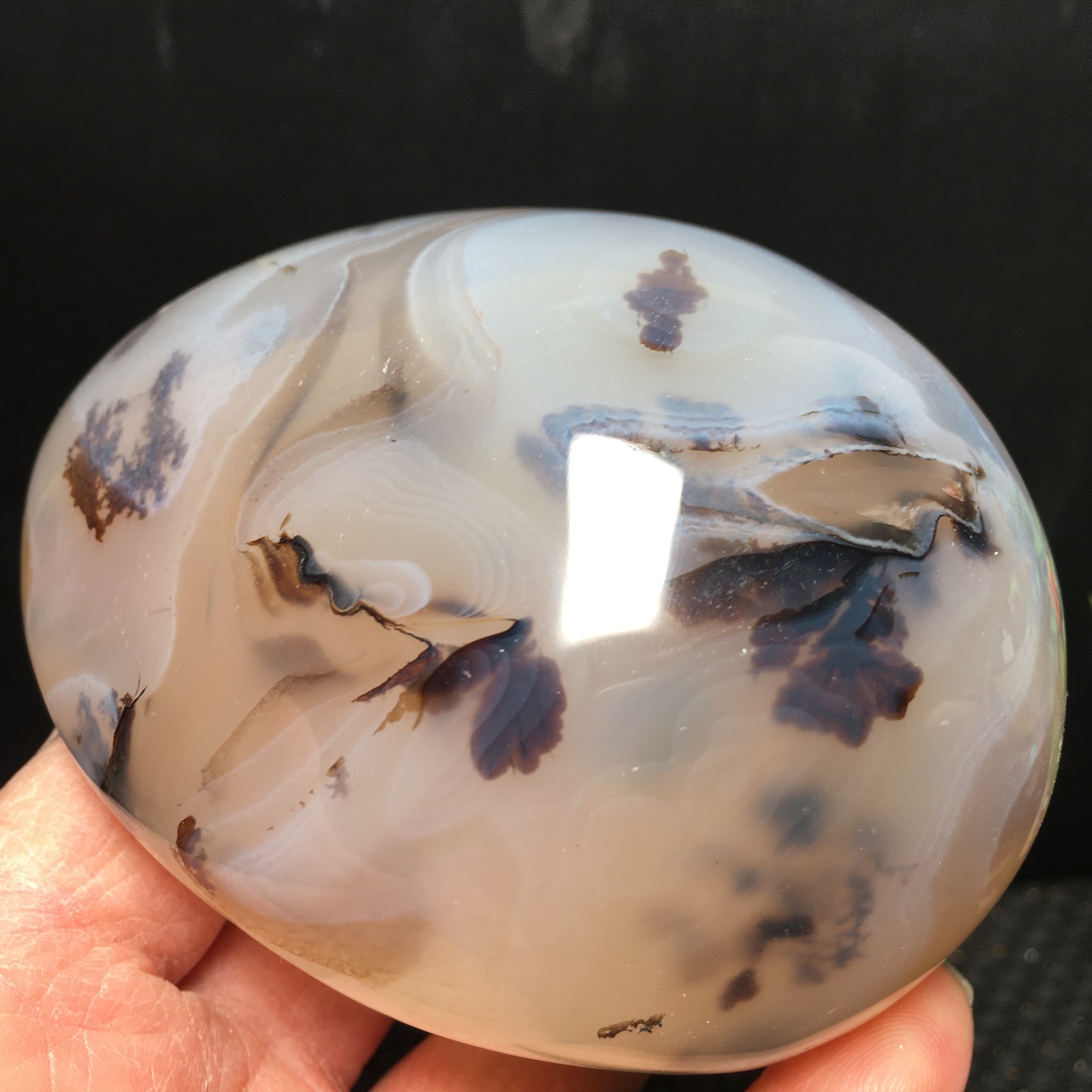 500g Natural Polished Aquatic Plants Agate Crystal Specimen fb1159