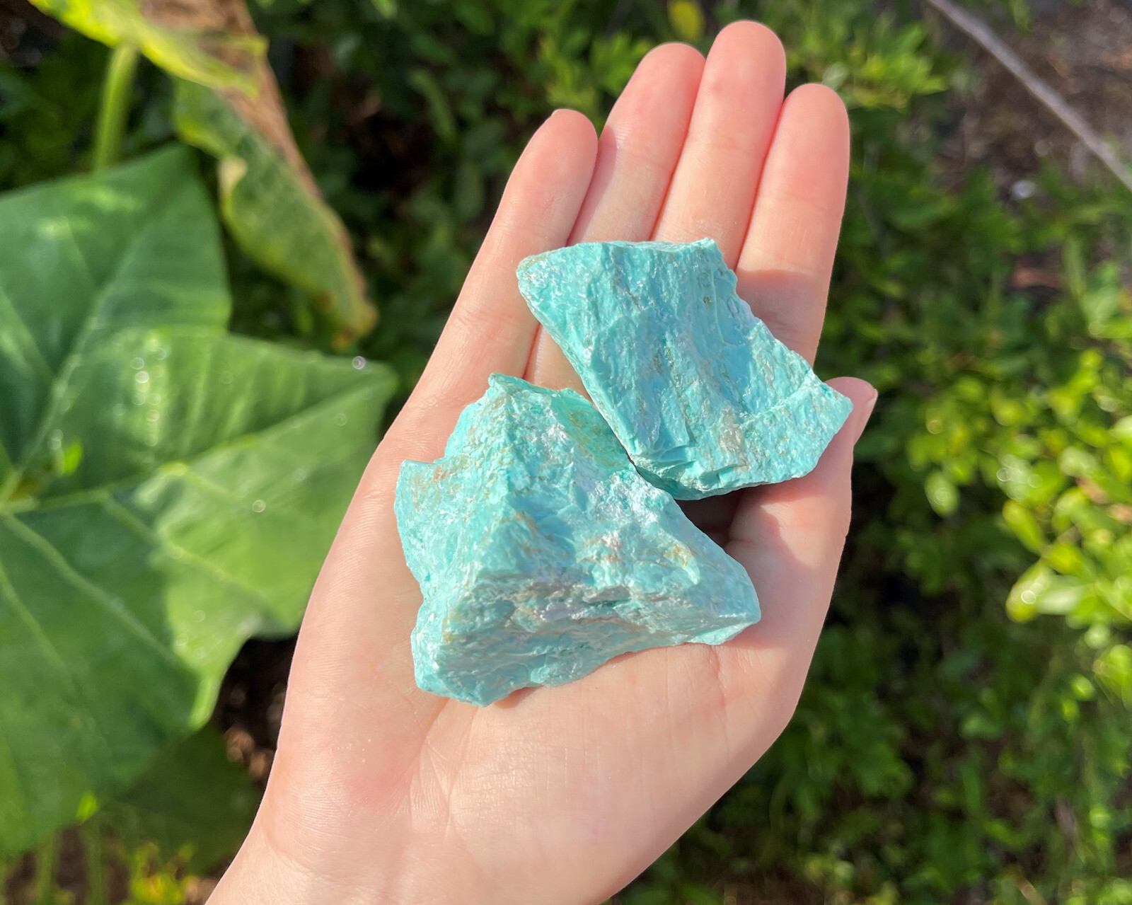 Rough Turquoise Stones LARGE 2-3″ (Raw Natural Turquoise, Peru)