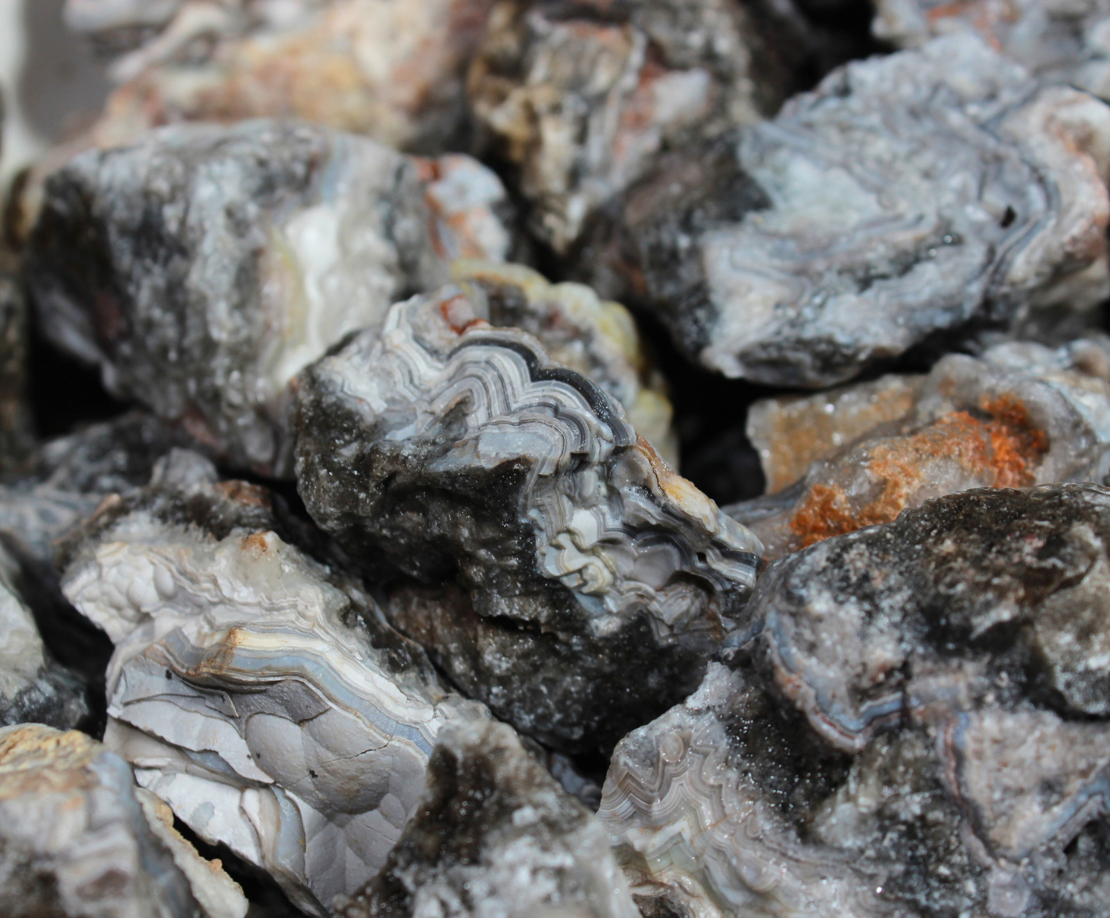 Tuxedo Lace Agate – Rough Rocks for Tumbling – Bulk Wholesale 1LB options