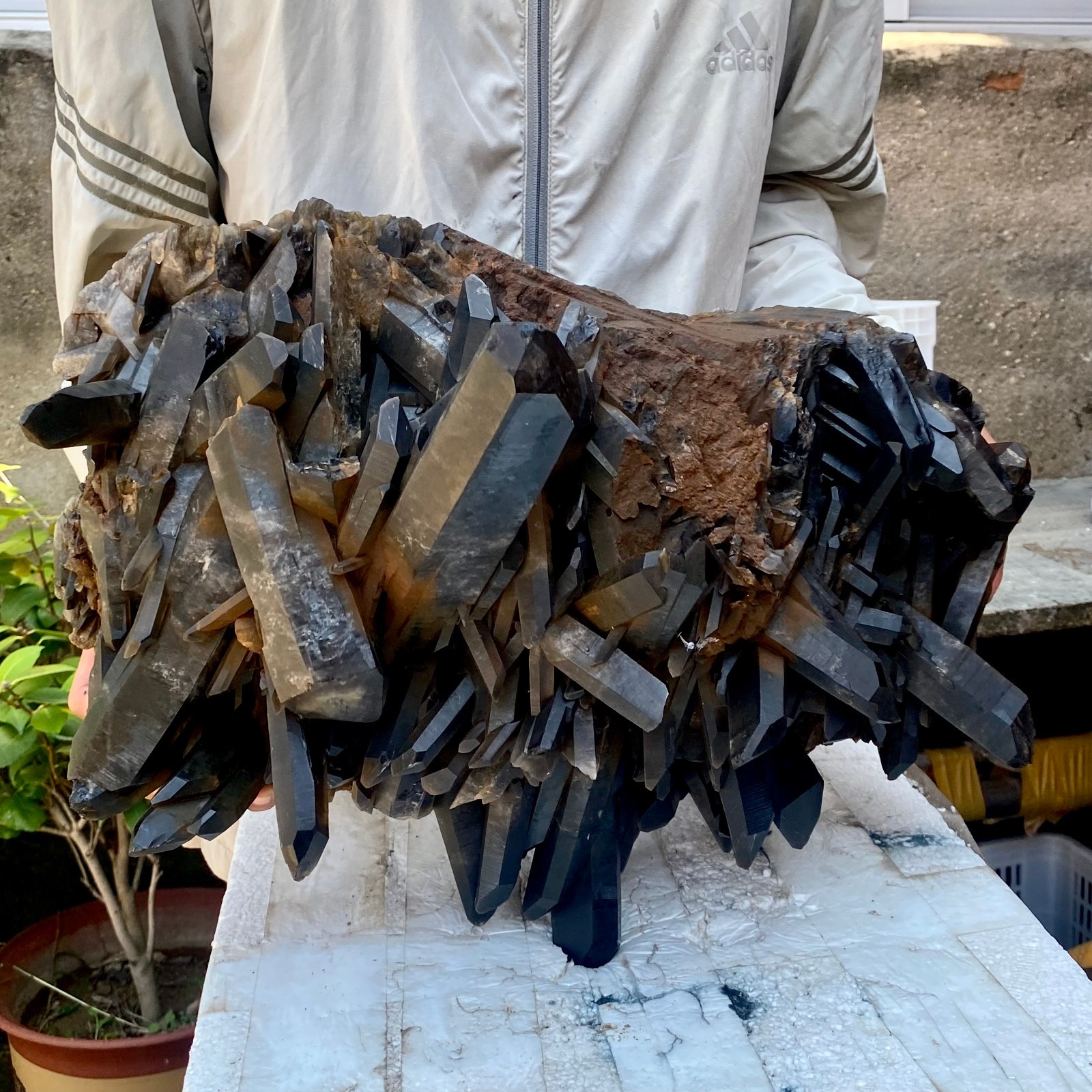 57LB Tea black Crystal quartz Cluster Mineral Specimen Healing reiki