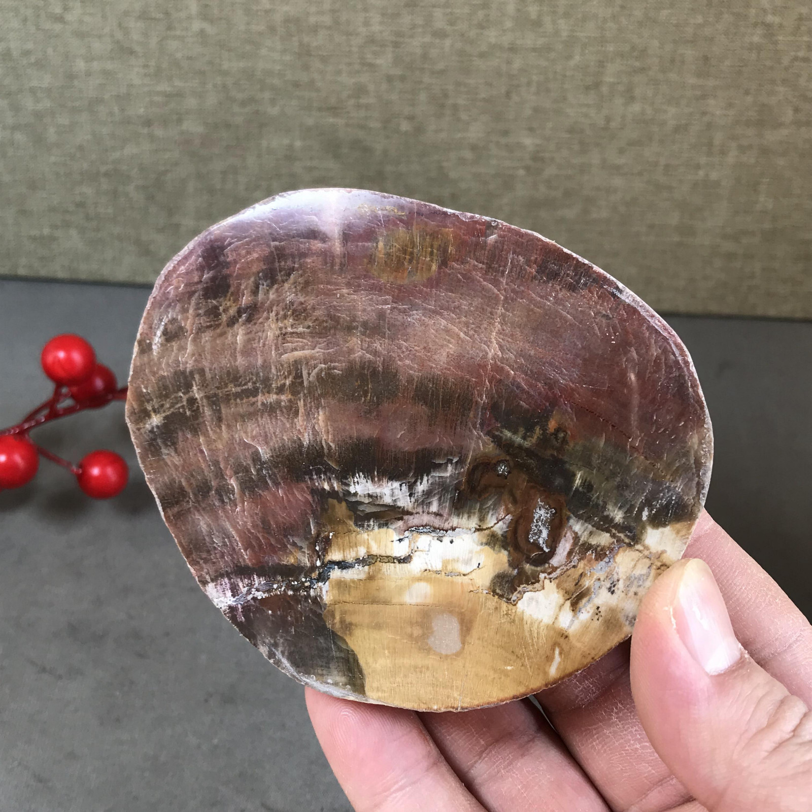 97mm natural Beautiful Petrified Wood Crystal Slice mineral specimen 247g A5426